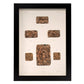 Small intestine-Artwork-Nacnic-A3-Sin marco-Nacnic Estudio SL