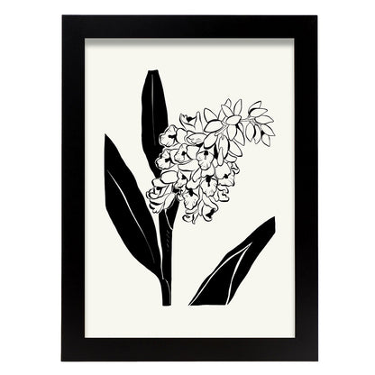 Snapdragon-Artwork-Nacnic-A4-Sin marco-Nacnic Estudio SL