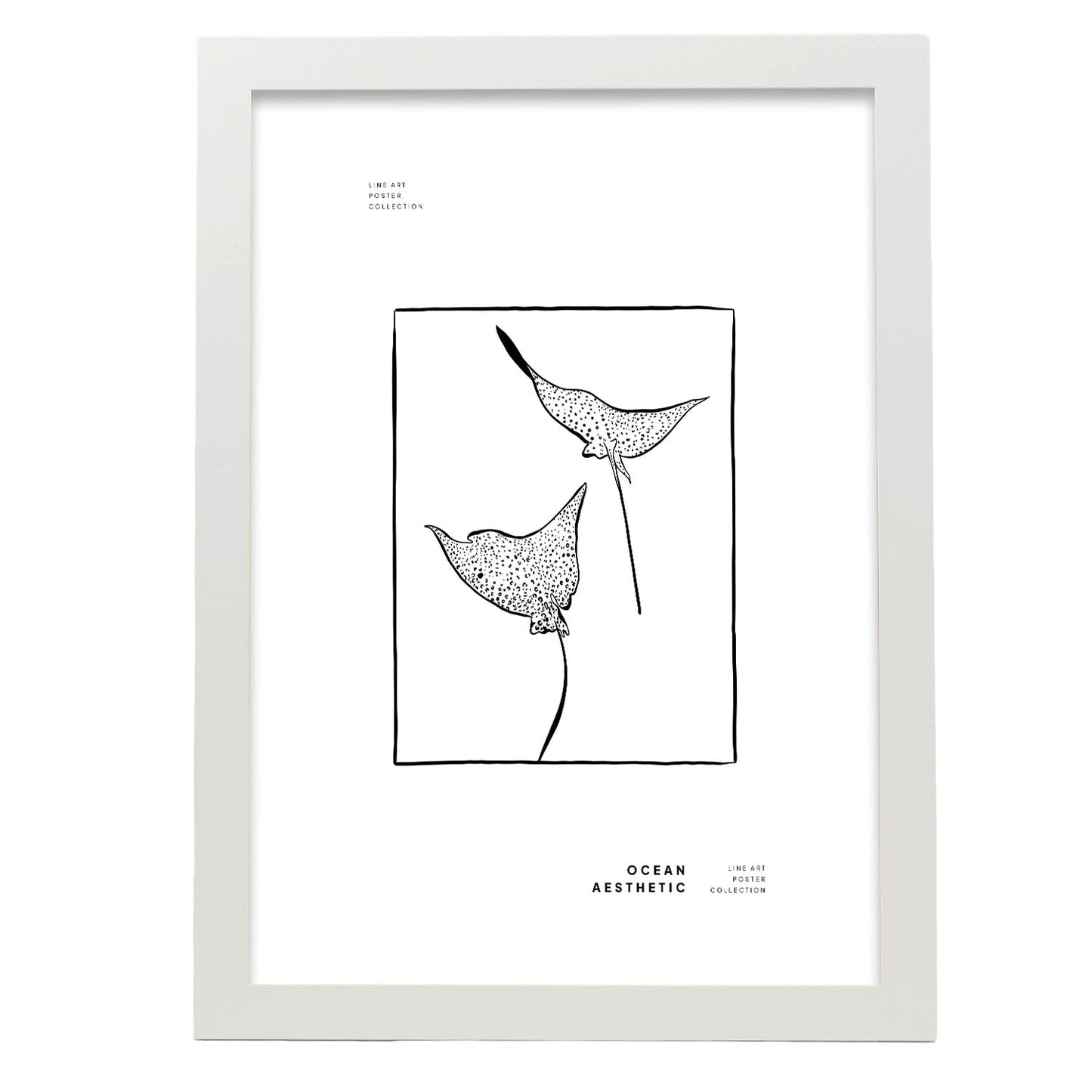 Spotted eagle rays-Artwork-Nacnic-A3-Marco Blanco-Nacnic Estudio SL