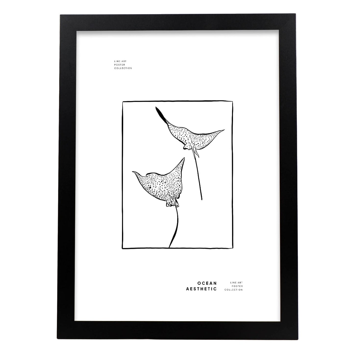 Spotted eagle rays-Artwork-Nacnic-A3-Sin marco-Nacnic Estudio SL