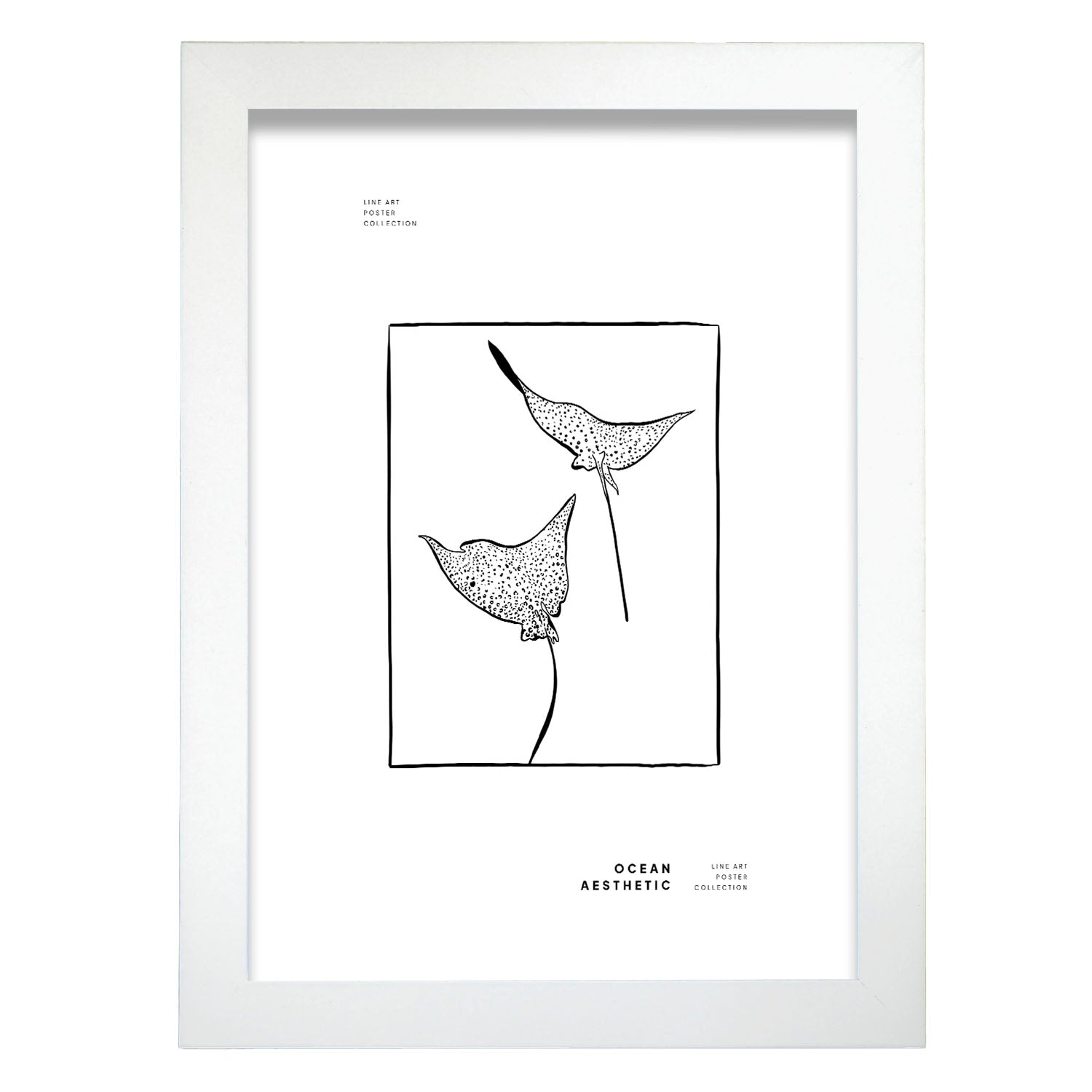 Spotted eagle rays-Artwork-Nacnic-A4-Marco Blanco-Nacnic Estudio SL