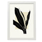Staghorn Fern-Artwork-Nacnic-A3-Marco Blanco-Nacnic Estudio SL