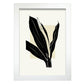 Staghorn Fern-Artwork-Nacnic-A4-Marco Blanco-Nacnic Estudio SL