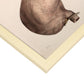 Stomach-Artwork-Nacnic-Nacnic Estudio SL