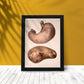 Stomach-Artwork-Nacnic-Nacnic Estudio SL