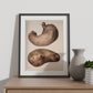 Stomach-Artwork-Nacnic-Nacnic Estudio SL