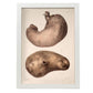 Stomach-Artwork-Nacnic-A3-Marco Blanco-Nacnic Estudio SL
