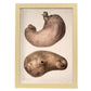 Stomach-Artwork-Nacnic-A3-Marco Madera clara-Nacnic Estudio SL