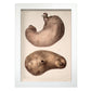 Stomach-Artwork-Nacnic-A4-Marco Blanco-Nacnic Estudio SL