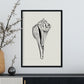 Stripped Fox conch-Artwork-Nacnic-Nacnic Estudio SL