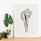 Stripped Fox conch-Artwork-Nacnic-Nacnic Estudio SL