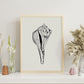 Stripped Fox conch-Artwork-Nacnic-Nacnic Estudio SL