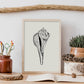 Stripped Fox conch-Artwork-Nacnic-Nacnic Estudio SL