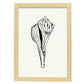 Stripped Fox conch-Artwork-Nacnic-A3-Marco Madera clara-Nacnic Estudio SL