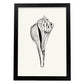 Stripped Fox conch-Artwork-Nacnic-A3-Sin marco-Nacnic Estudio SL