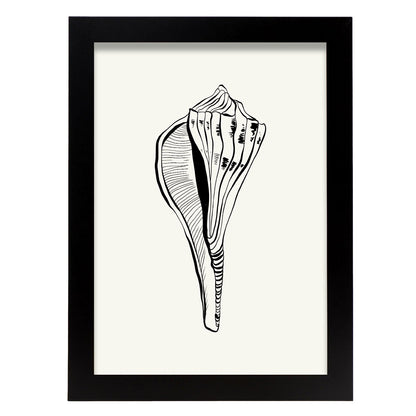 Stripped Fox conch-Artwork-Nacnic-A4-Sin marco-Nacnic Estudio SL