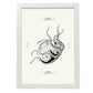 Stripped Octopus-Artwork-Nacnic-A3-Marco Blanco-Nacnic Estudio SL