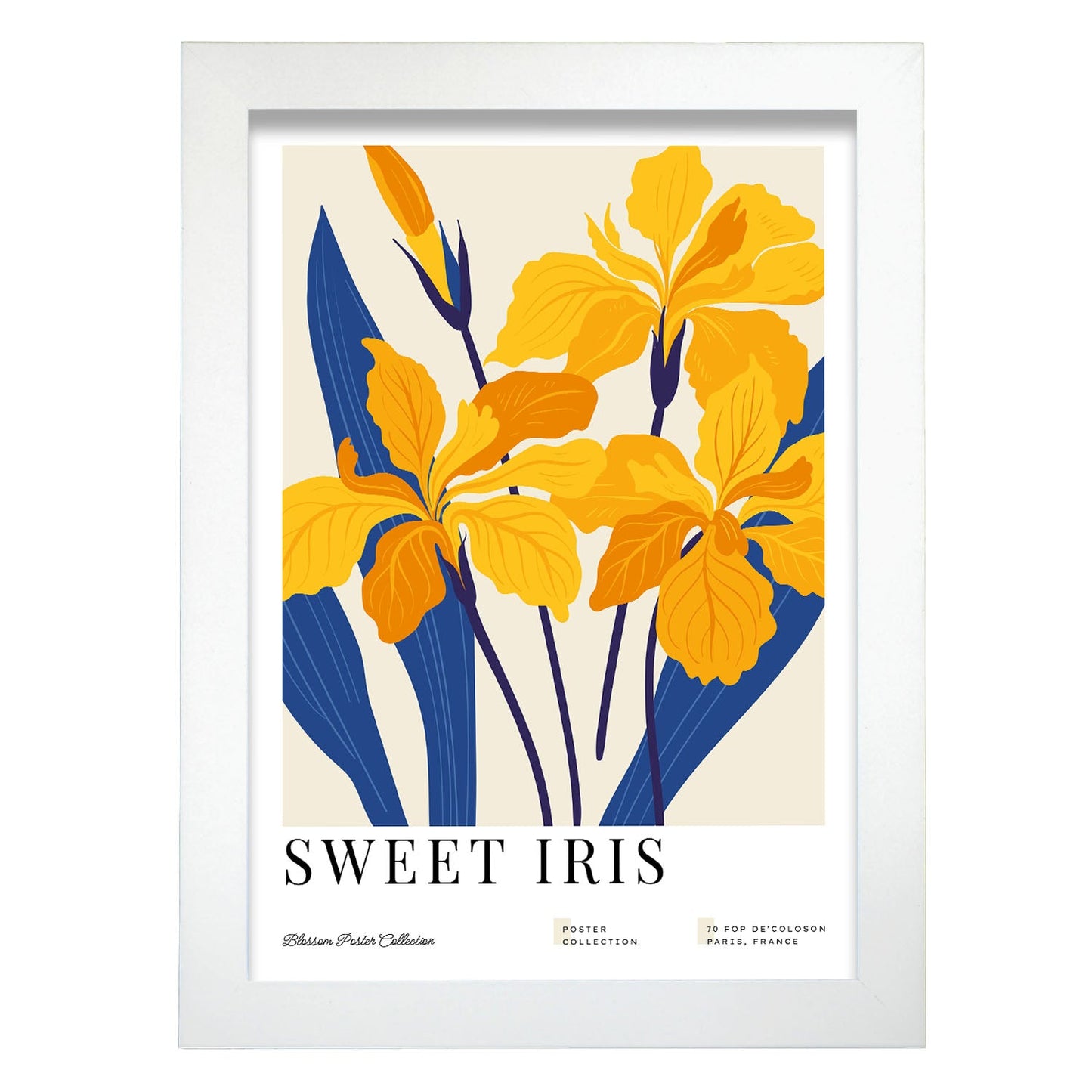 Sweet Iris-Artwork-Nacnic-A4-Marco Blanco-Nacnic Estudio SL