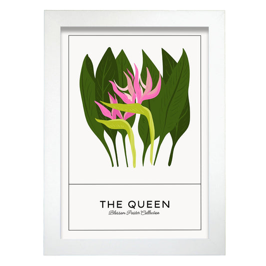 The Queen-Artwork-Nacnic-A4-Marco Blanco-Nacnic Estudio SL