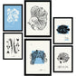Thick Black Ink Posters. Fishes. Artistic Marine Aesthetic-Artwork-Nacnic-Nacnic Estudio SL
