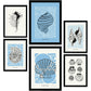 Thick Black Ink Posters. Round Shells. Artistic Marine Aesthetic-Artwork-Nacnic-Nacnic Estudio SL