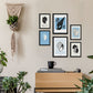 Thick Black Ink Posters. Sea Snail Shells. Artistic Marine Aesthetic-Artwork-Nacnic-Nacnic Estudio SL