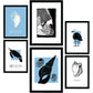 Thick Black Ink Posters. Seashells. Artistic Marine Aesthetic-Artwork-Nacnic-Nacnic Estudio SL