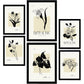Thick Black Ink Posters. Tropical Orchids.-Artwork-Nacnic-Nacnic Estudio SL