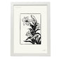 Tiger Lily-Artwork-Nacnic-A3-Marco Blanco-Nacnic Estudio SL
