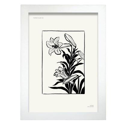 Tiger Lily-Artwork-Nacnic-A4-Marco Blanco-Nacnic Estudio SL