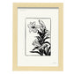 Tiger Lily-Artwork-Nacnic-A4-Marco Madera clara-Nacnic Estudio SL