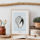 Tinted Cantharus shell-Artwork-Nacnic-Nacnic Estudio SL