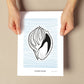 Tinted Cantharus shell-Artwork-Nacnic-Nacnic Estudio SL
