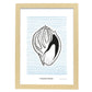 Tinted Cantharus shell-Artwork-Nacnic-A3-Marco Madera clara-Nacnic Estudio SL
