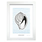 Tinted Cantharus shell-Artwork-Nacnic-A4-Marco Blanco-Nacnic Estudio SL