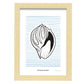 Tinted Cantharus shell-Artwork-Nacnic-A4-Marco Madera clara-Nacnic Estudio SL