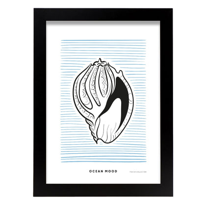 Tinted Cantharus shell-Artwork-Nacnic-A4-Sin marco-Nacnic Estudio SL