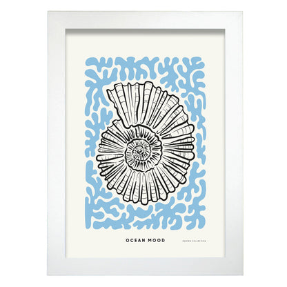 Topview Florida seashell-Artwork-Nacnic-A4-Marco Blanco-Nacnic Estudio SL