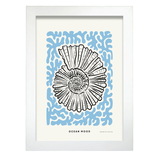 Topview Florida seashell-Artwork-Nacnic-A4-Marco Blanco-Nacnic Estudio SL
