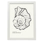 True Tulip-Artwork-Nacnic-A3-Marco Blanco-Nacnic Estudio SL