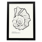 True Tulip-Artwork-Nacnic-A3-Sin marco-Nacnic Estudio SL