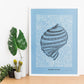 True tulip shell-Artwork-Nacnic-Nacnic Estudio SL