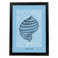 True tulip shell-Artwork-Nacnic-A3-Sin marco-Nacnic Estudio SL