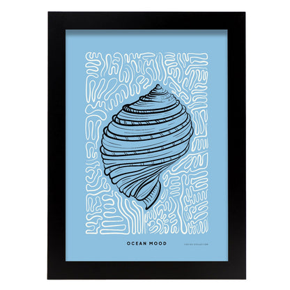 True tulip shell-Artwork-Nacnic-A4-Sin marco-Nacnic Estudio SL