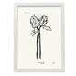 Tulips-Artwork-Nacnic-A3-Marco Blanco-Nacnic Estudio SL