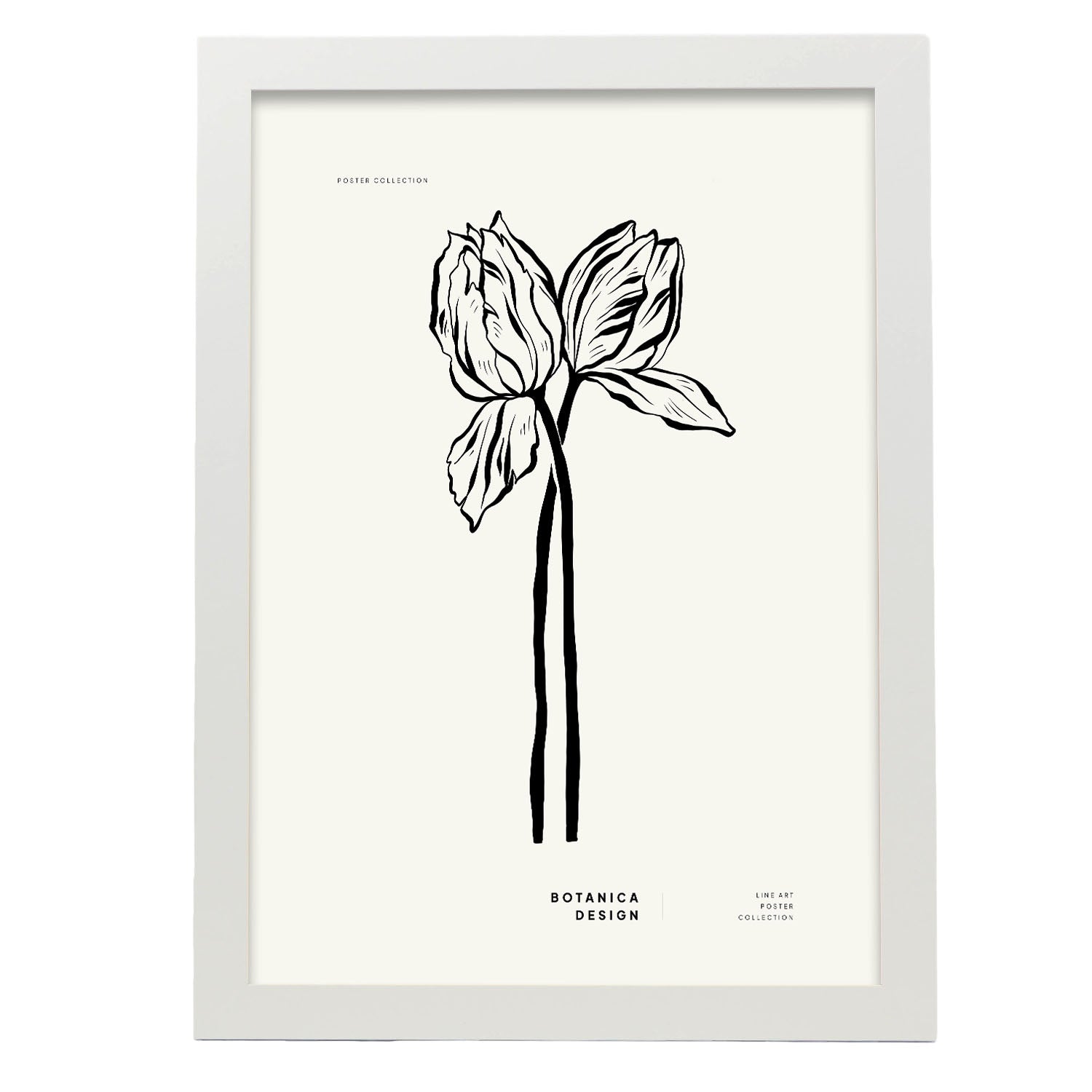 Tulips-Artwork-Nacnic-A3-Marco Blanco-Nacnic Estudio SL
