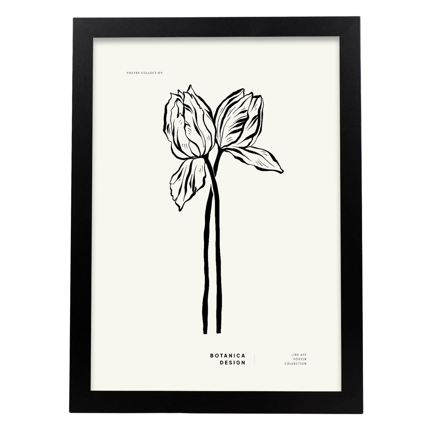 Tulips-Artwork-Nacnic-A3-Sin marco-Nacnic Estudio SL