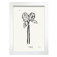 Tulips-Artwork-Nacnic-A4-Marco Blanco-Nacnic Estudio SL