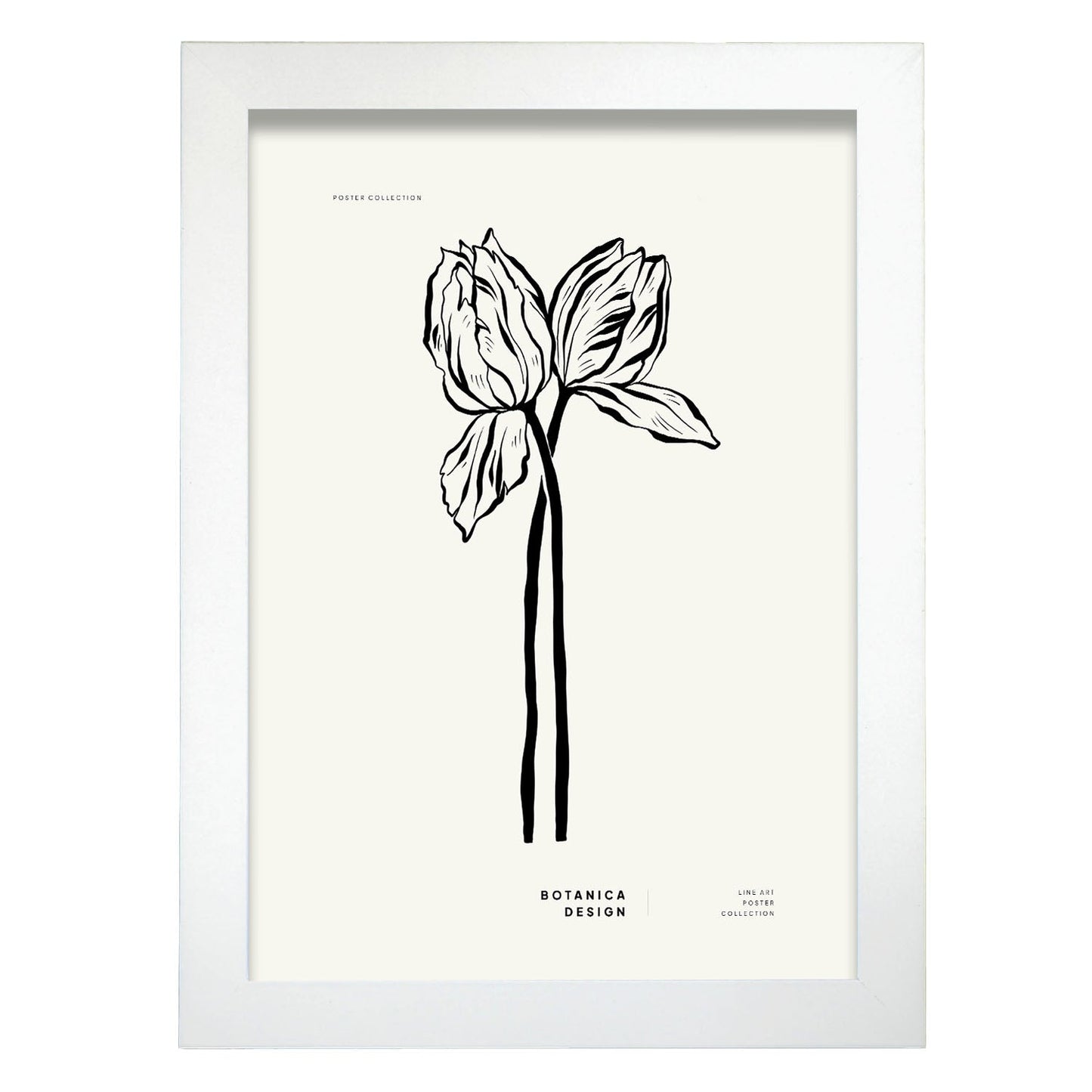 Tulips-Artwork-Nacnic-A4-Marco Blanco-Nacnic Estudio SL