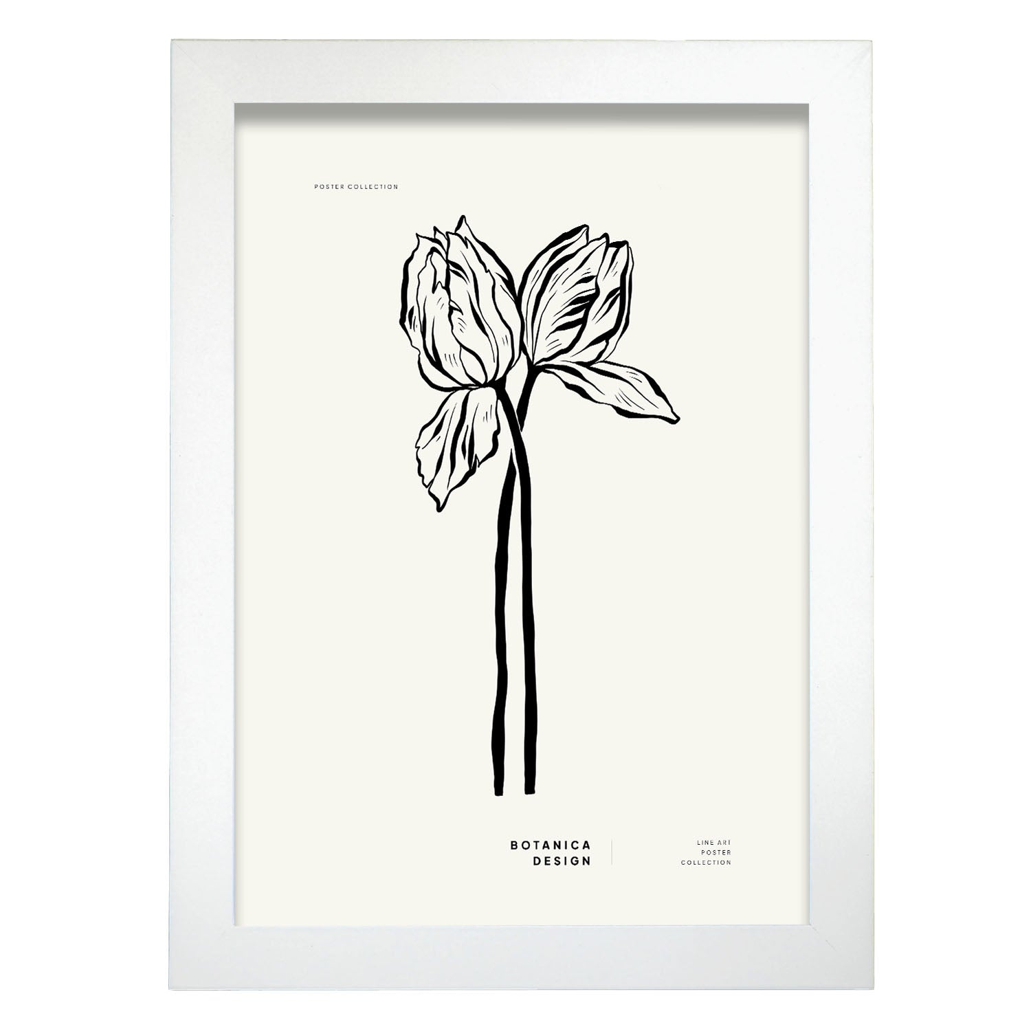 Tulips-Artwork-Nacnic-A4-Marco Blanco-Nacnic Estudio SL